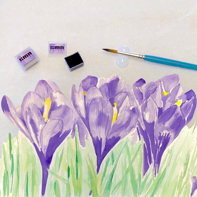 For those of you with a passion for purple or who need a bright violet for botanical illustration.

Ultramarine violet is more saturated than our moody dioxazine and flocculates like its sister ultramarine blue.

Crocuses by Jessica of Limn Colors.

