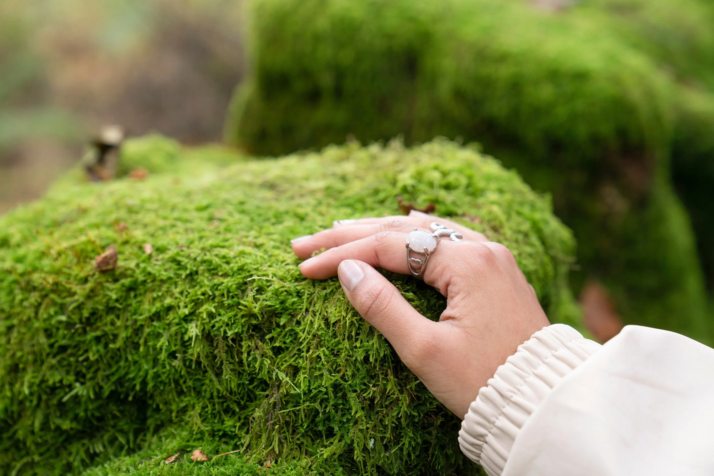 Naturalphile Re-Launch ! Empowerment Through Nature