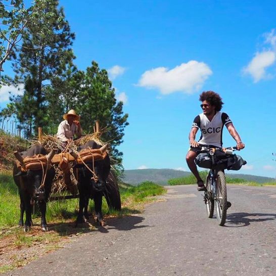 Taking Havana by Bicycle