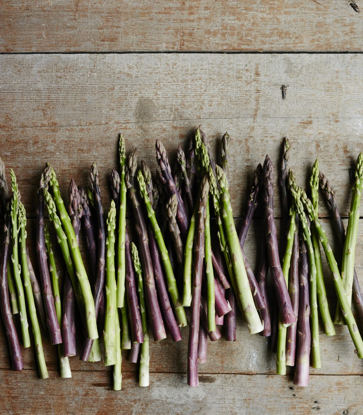 Shine_asparagus1744.jpg
