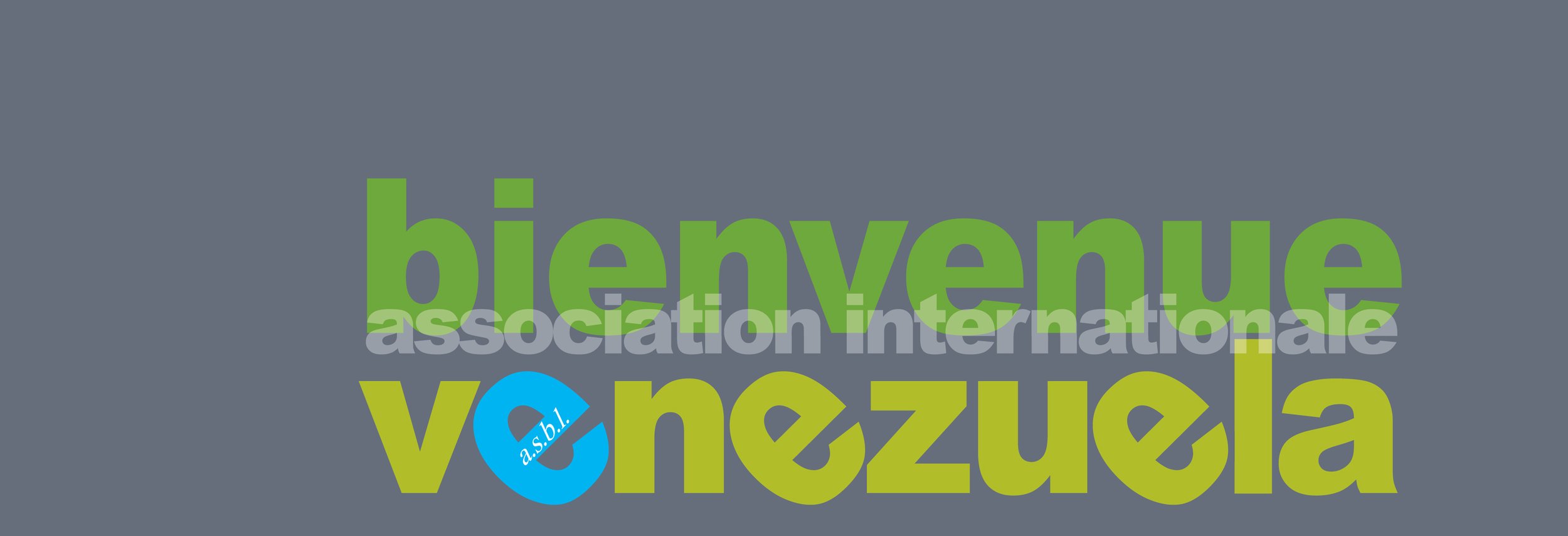 Bienvenue Venezuela Logo_extended canvas.jpg
