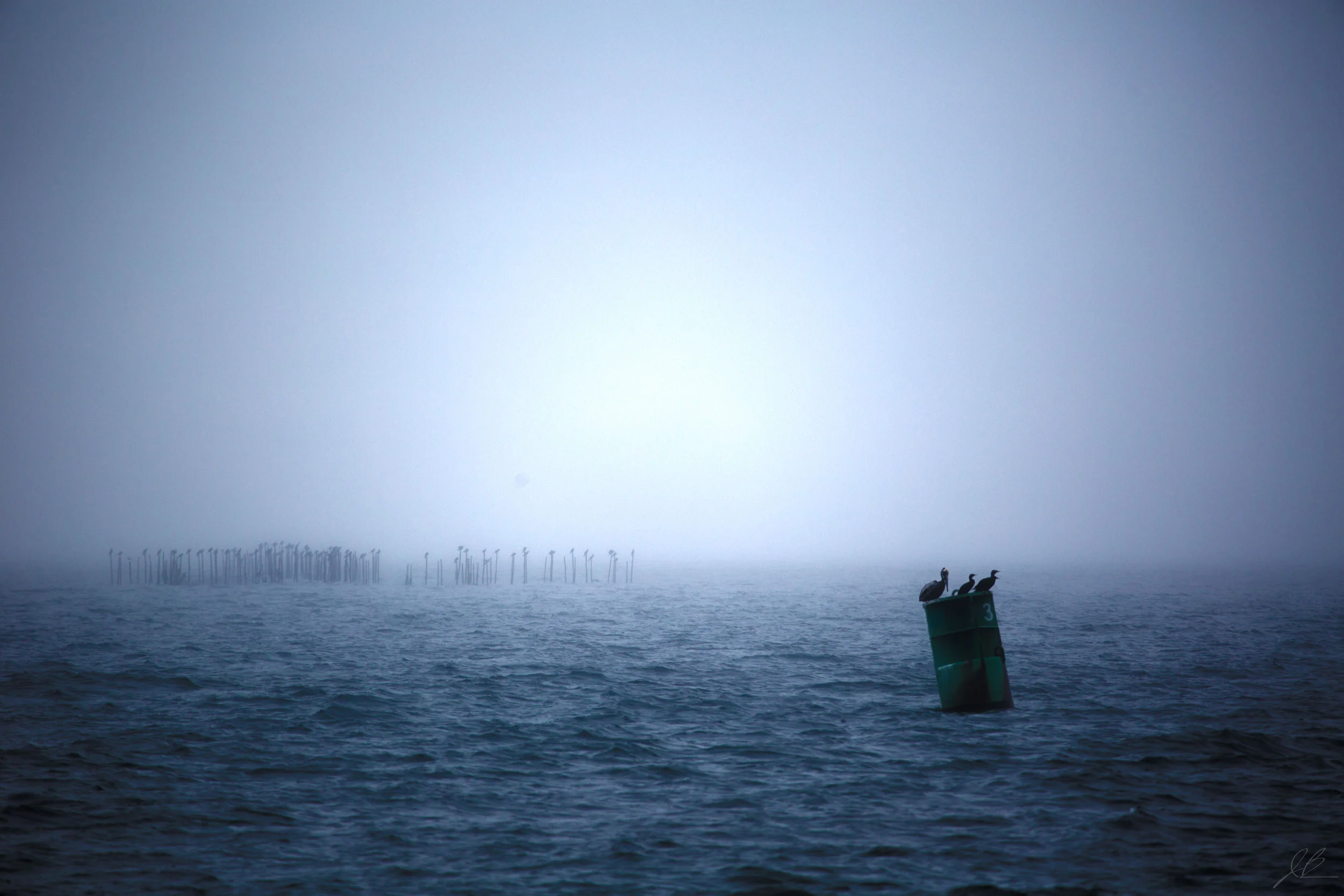 Birds-on-Barrel-2.jpg