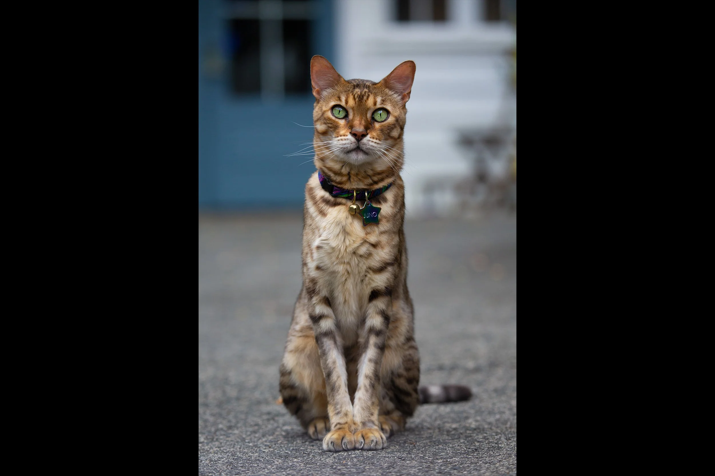 8S8A8859-edit-WEB.jpg