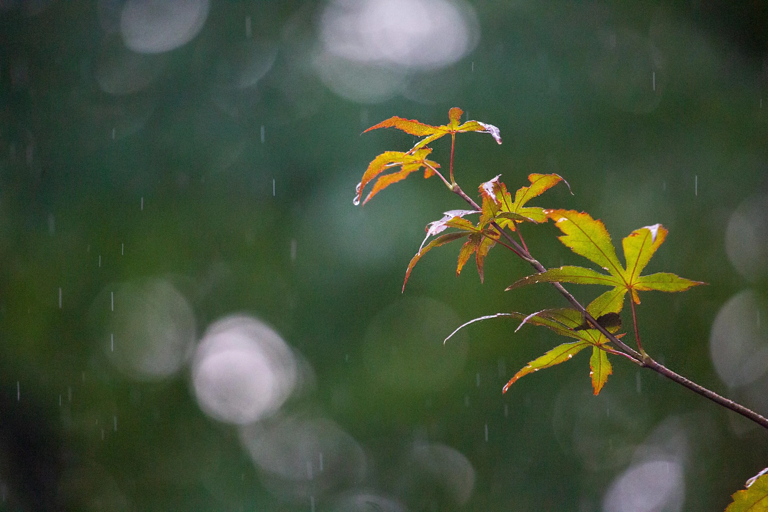 8S8A8948-edit-WEB.jpg