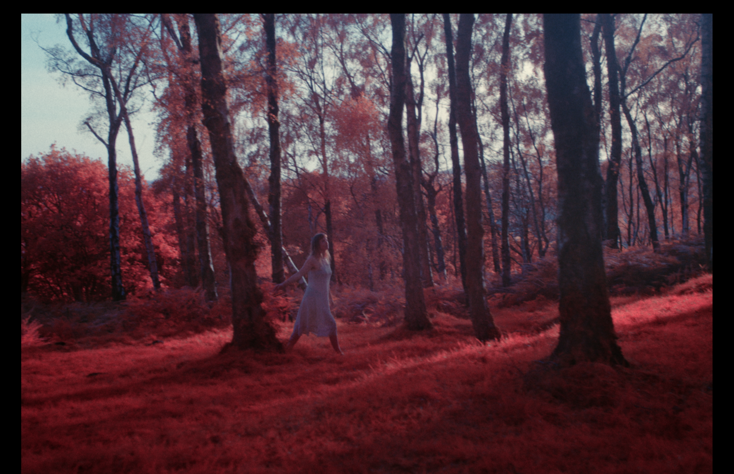 Screenshot 2026-02-02 at 11.40.03.png