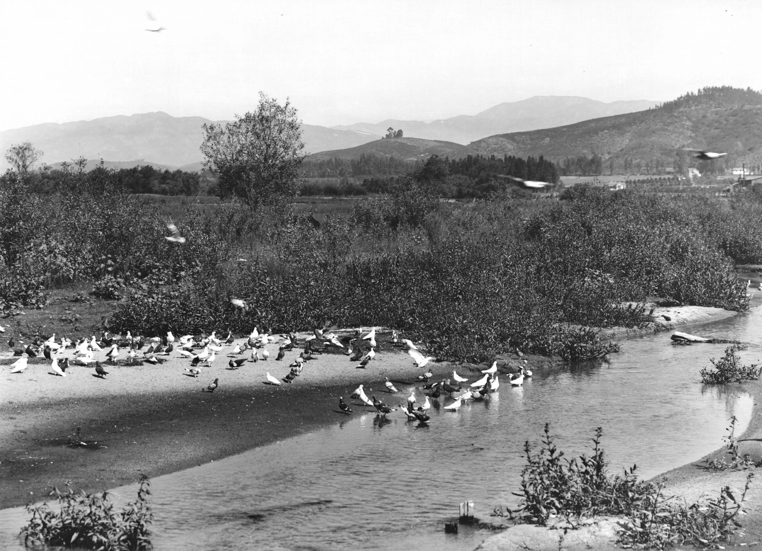 La Rizer The Los Angeles River — The River Project