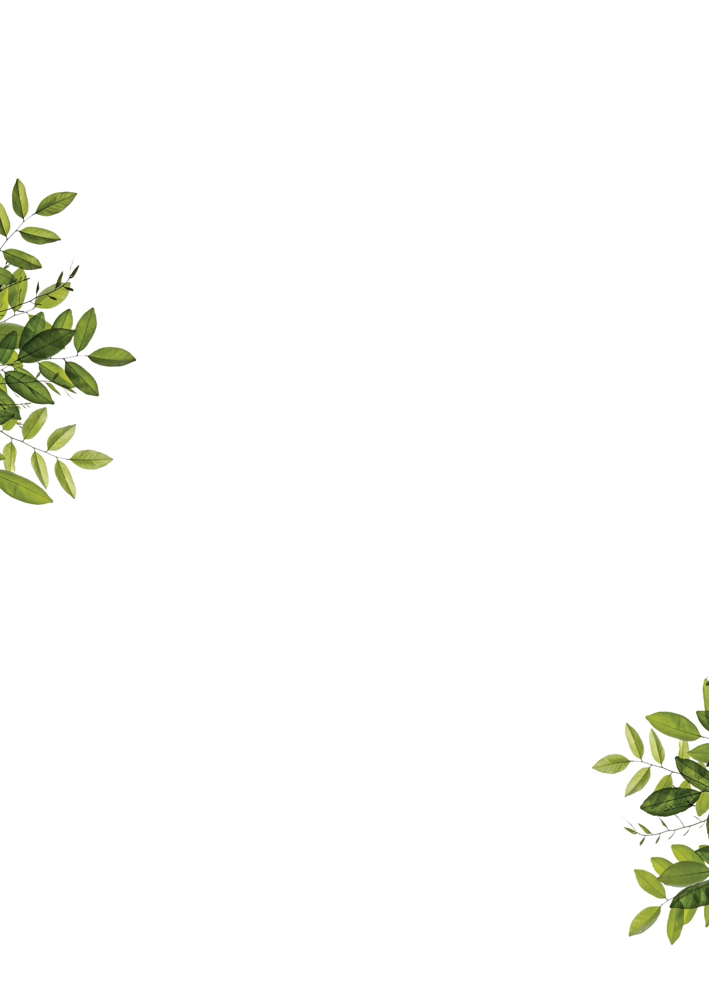 Details-Background.jpg