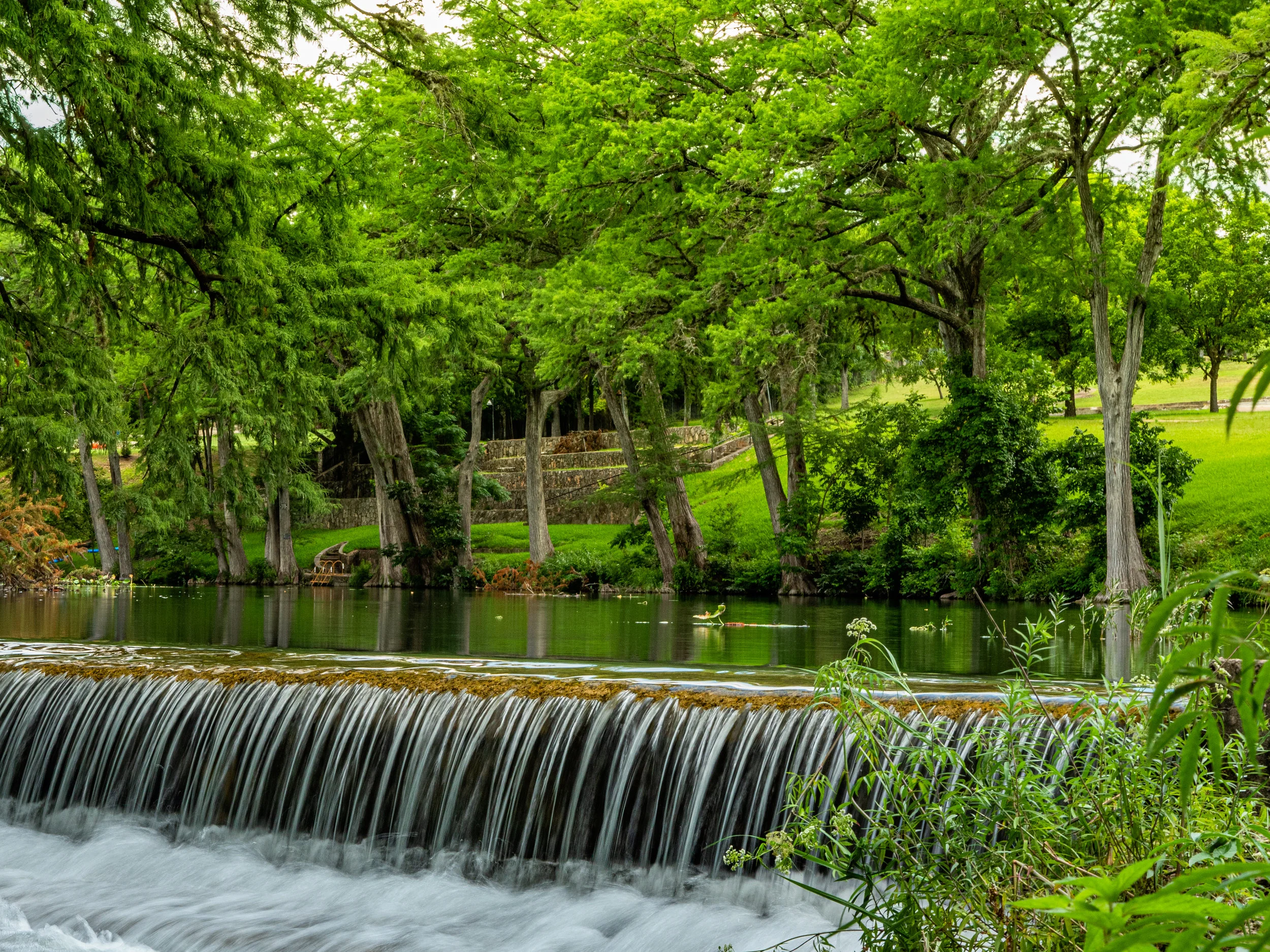 **P1033145.jpg