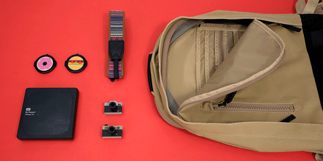 WD-backpack-red.gif