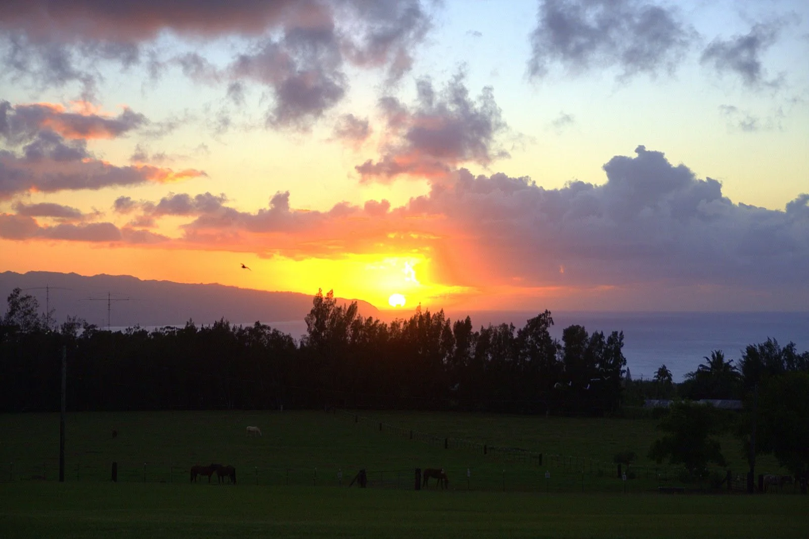 Sunset Ranch.jpg