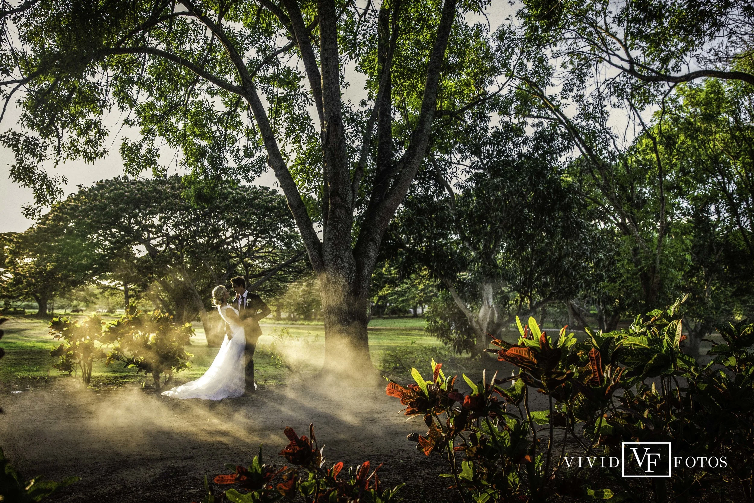 VIVIDfotos-2.jpg