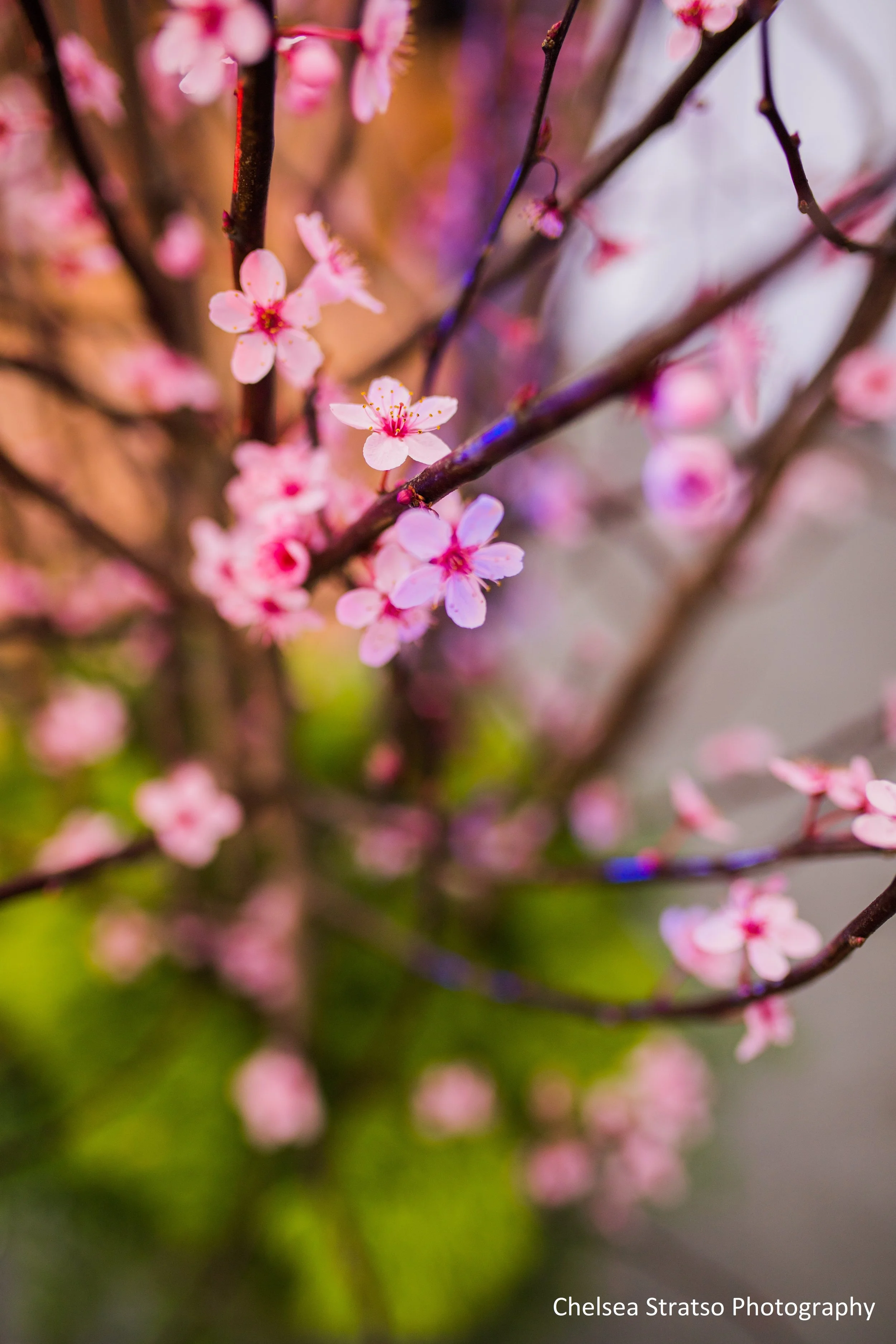 Loulu_Workshop-41 (Chelsea Stratso Photography).jpg