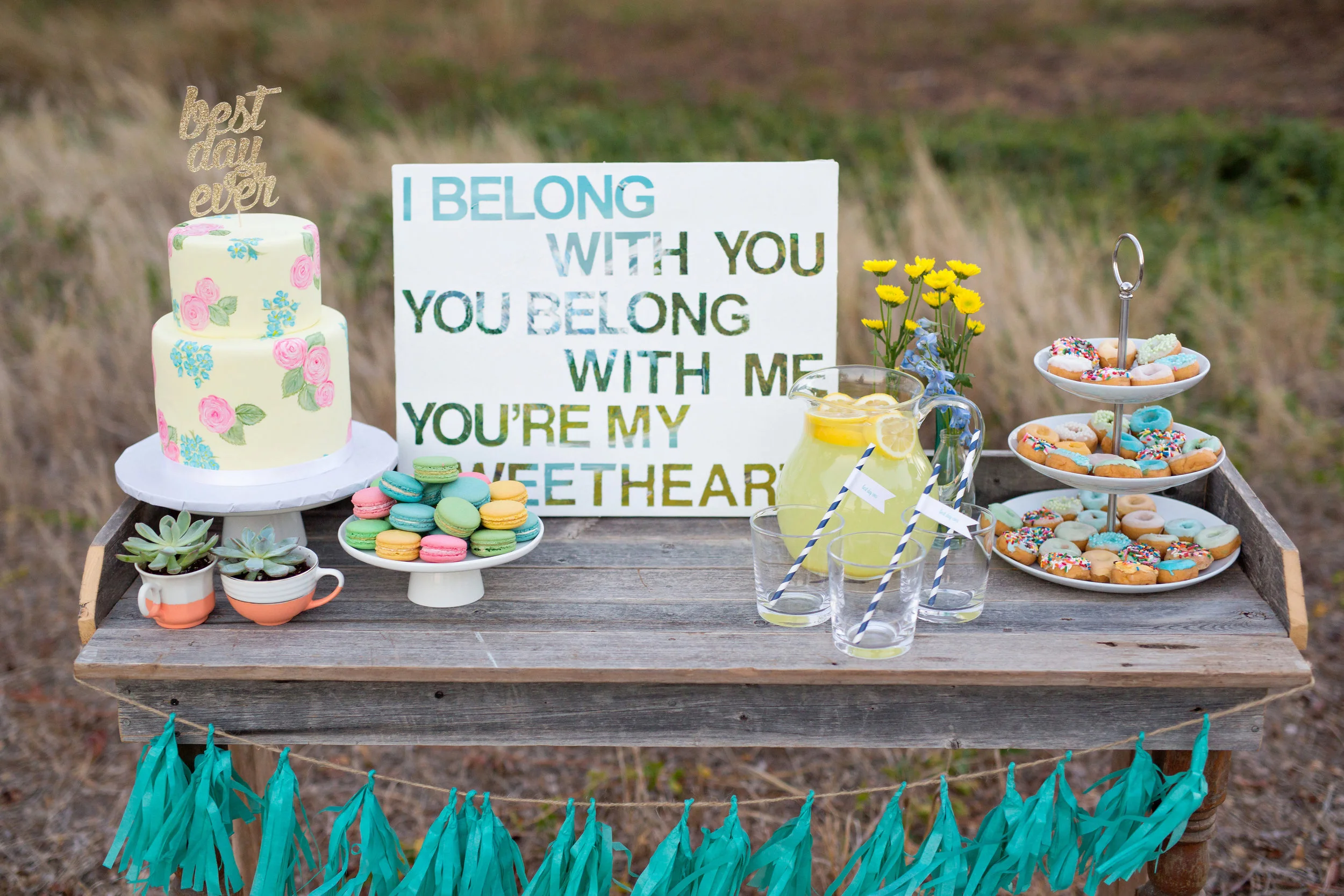 Hand Painted Cake Dessert Bar.jpg
