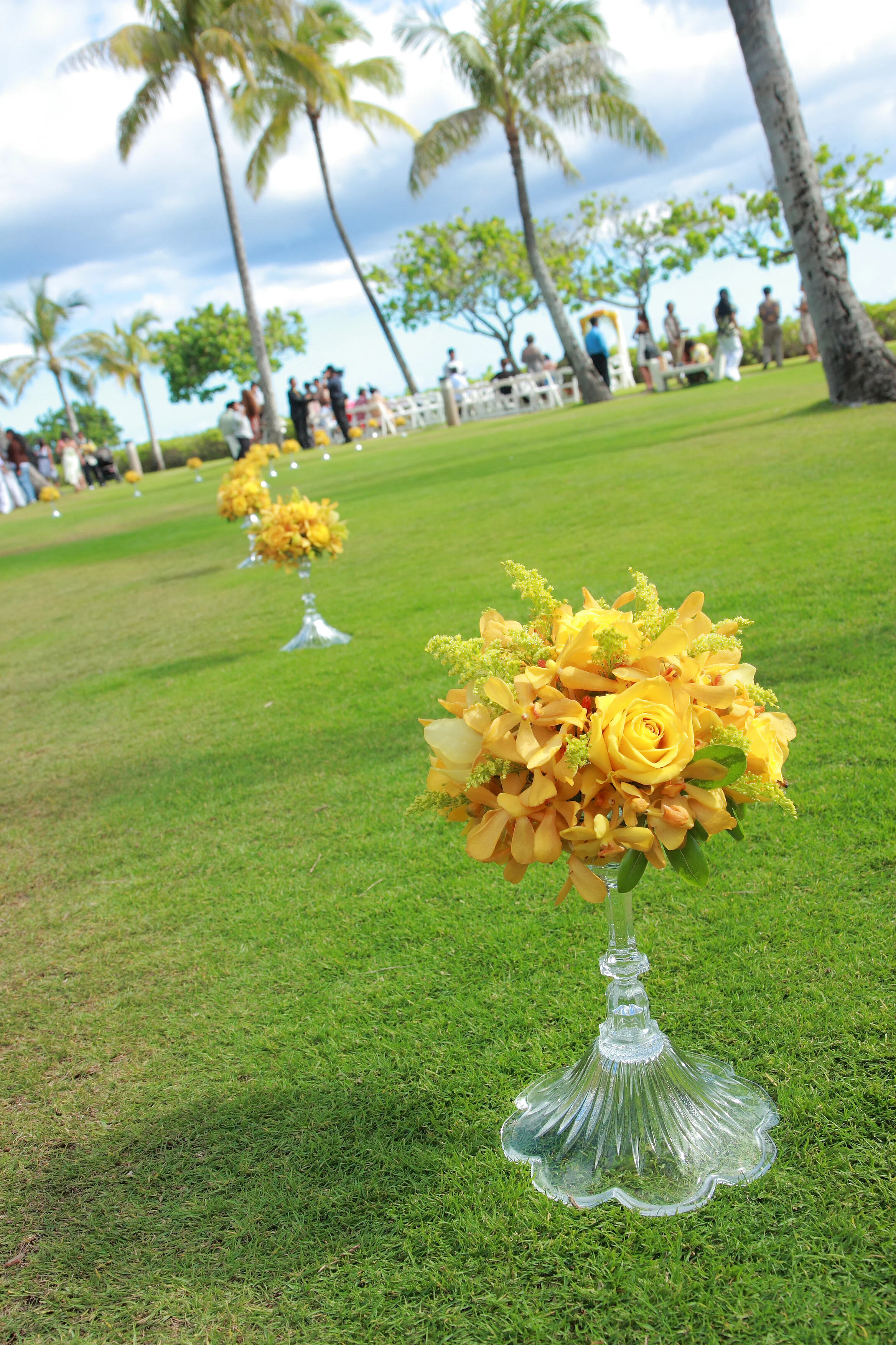 DAVID MURPHEY (176).JPG