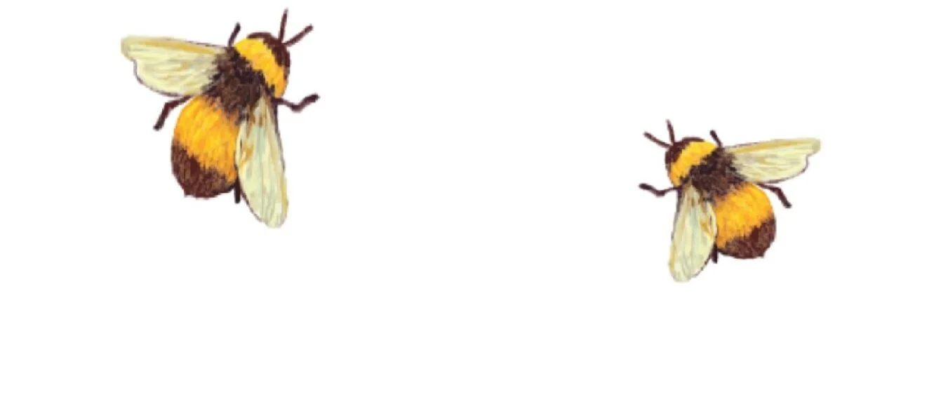 Bee 4.jpg