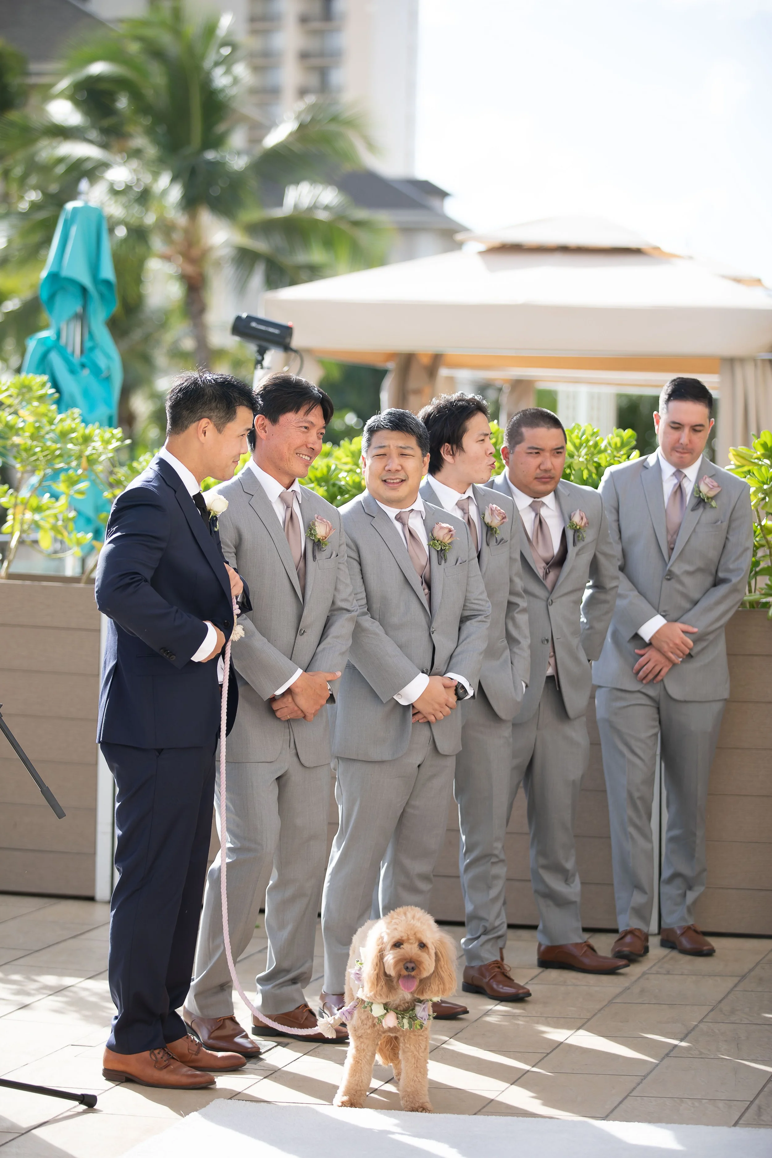 How to Include Your Pet in Your Wedding — A Perfect Day Hawaii