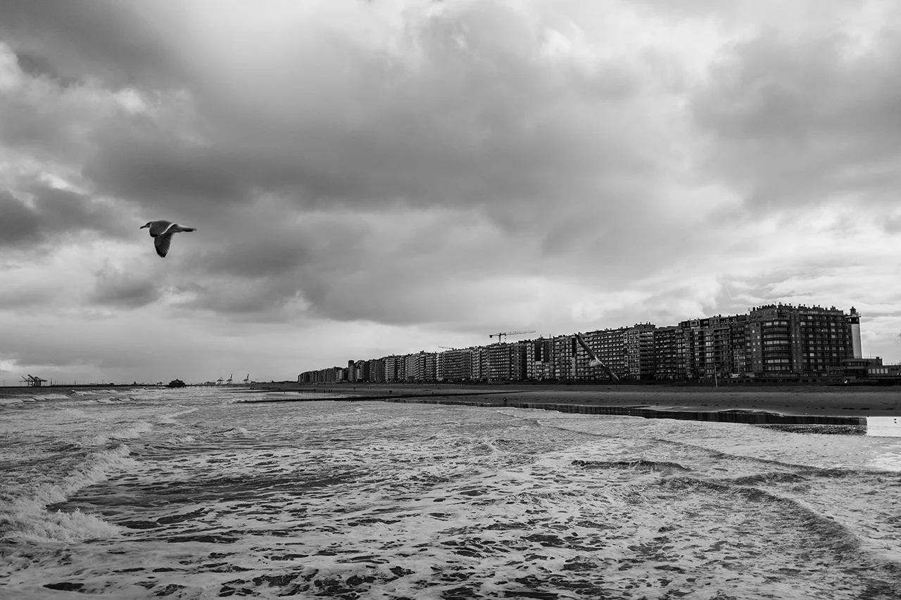 klaus-schwaiger-2017-travel-blankenberge-web-3.jpg