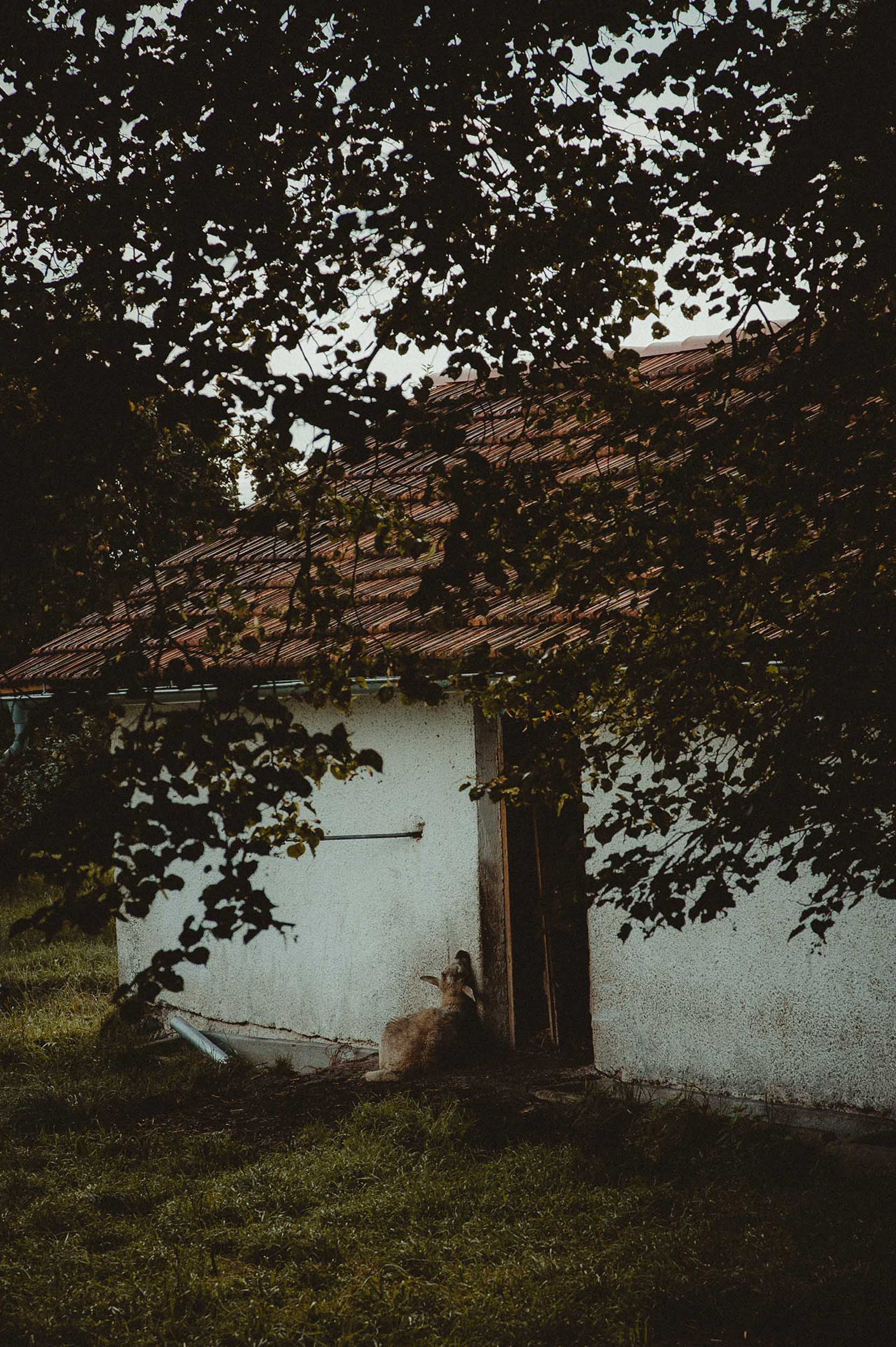 klaus-schwaiger-2017-personal-bavaria-web-4.jpg
