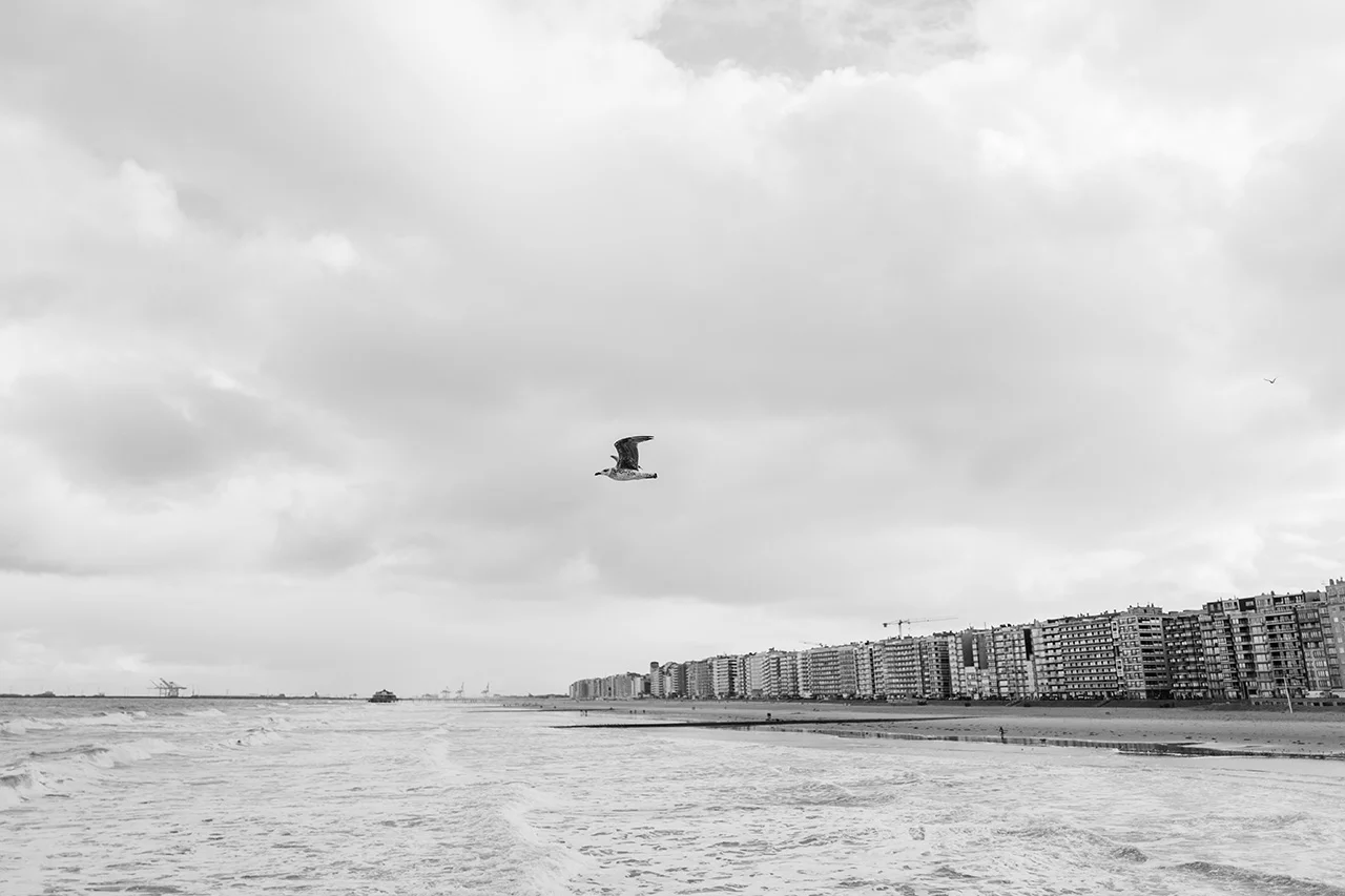 klaus-schwaiger-2017-travel-blankenberge-web-6.jpg
