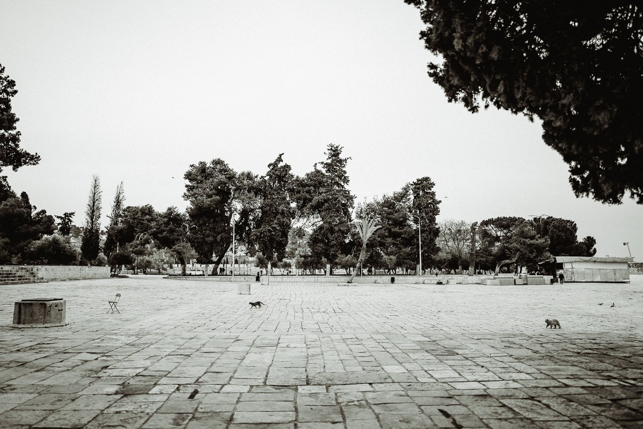klaus-schwaiger-places-jerusalem-israel-web-58.jpg