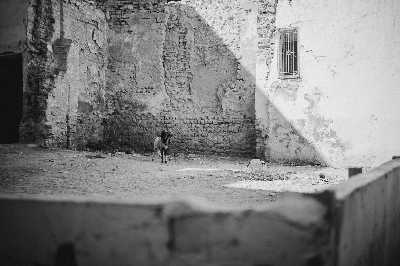 231113-Travel-Tunis-Draft-a-8.jpg
