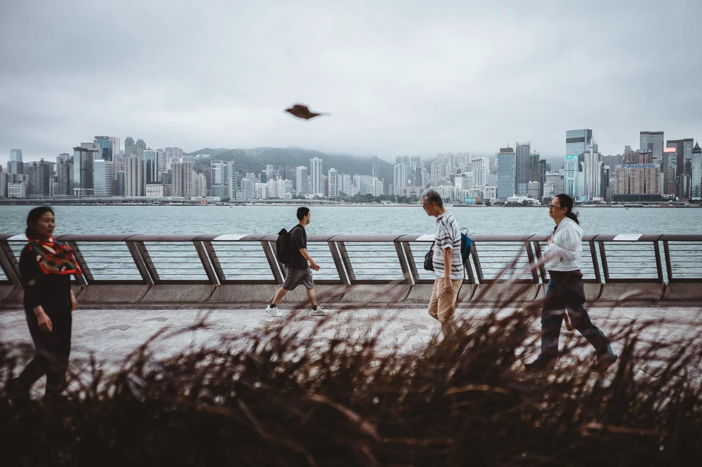 241111-Travel-Hongkong-Final-LoRes-60.jpg