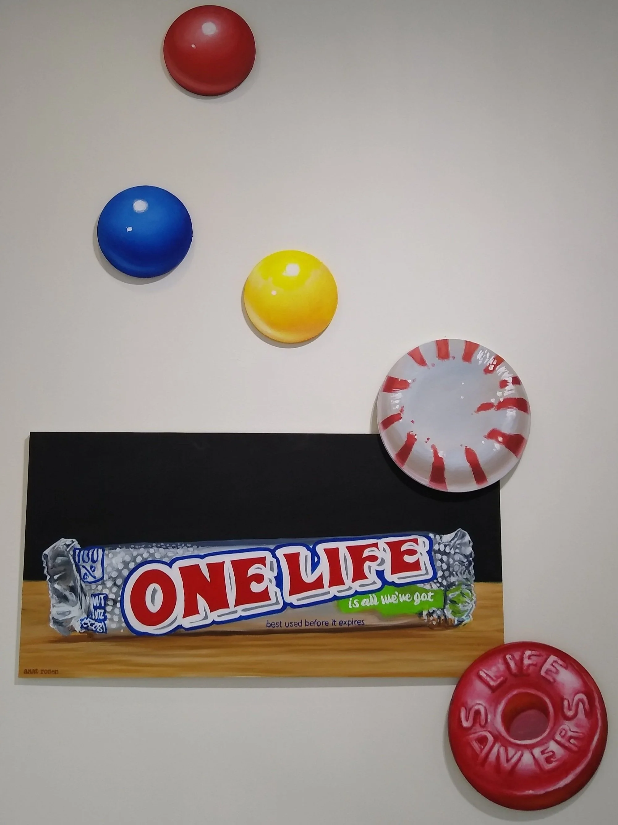 Buy entries for "One Life is All We've Got" by Anat Ronen 