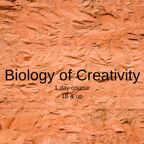licensed art therapy (2).png