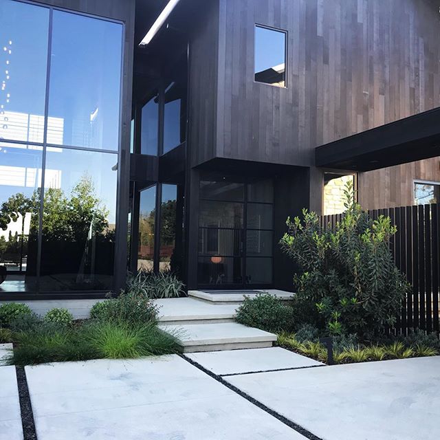 Front entry and planting at a recent project in Mar Vista #groundswelland #marvista #arbutus #losangeles #landscape #landscapedesign #glass architecture- @yu2e_inc