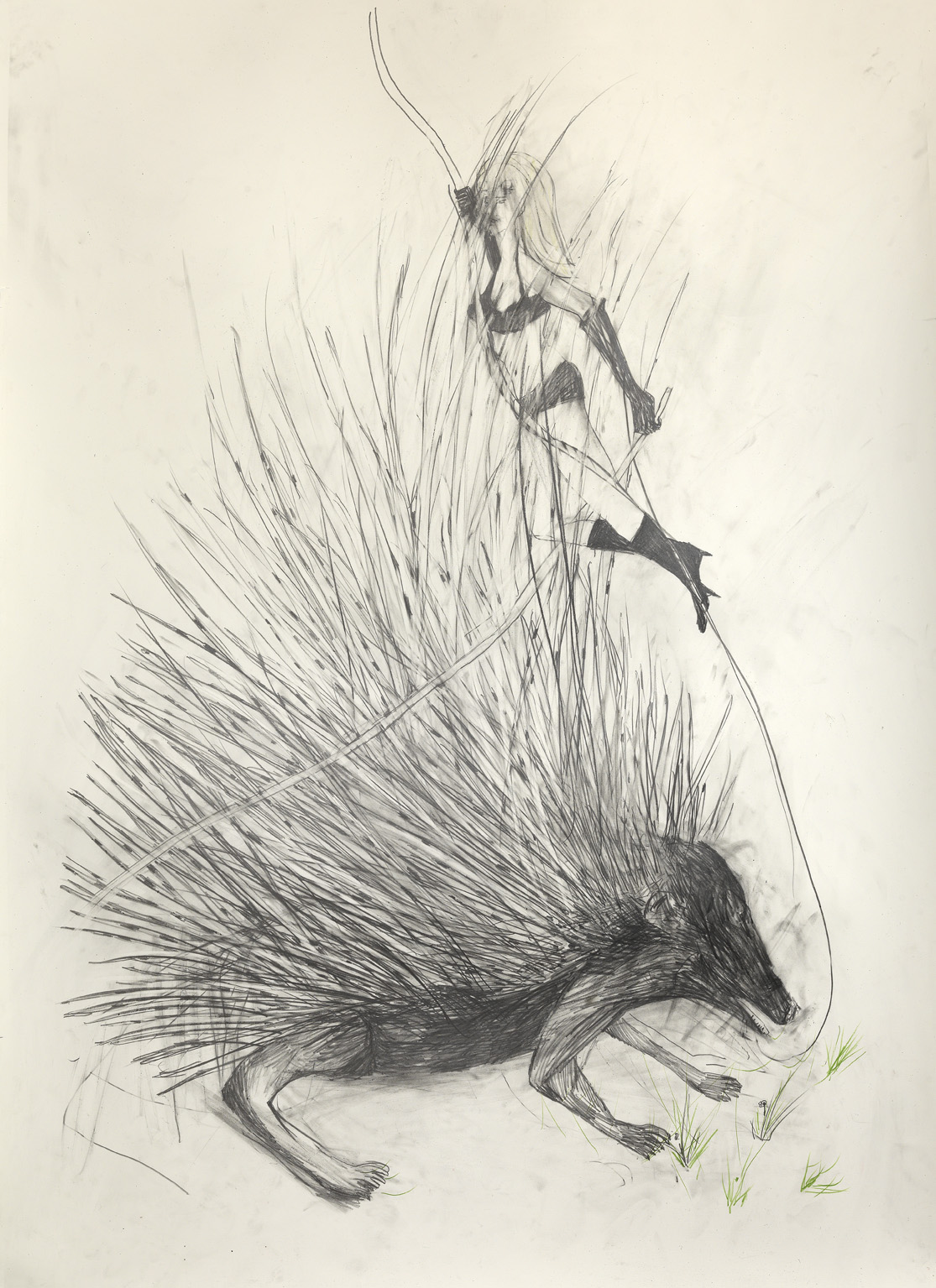 Lady and the Porcupine