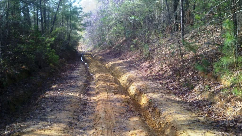 Rutted-Road.jpg