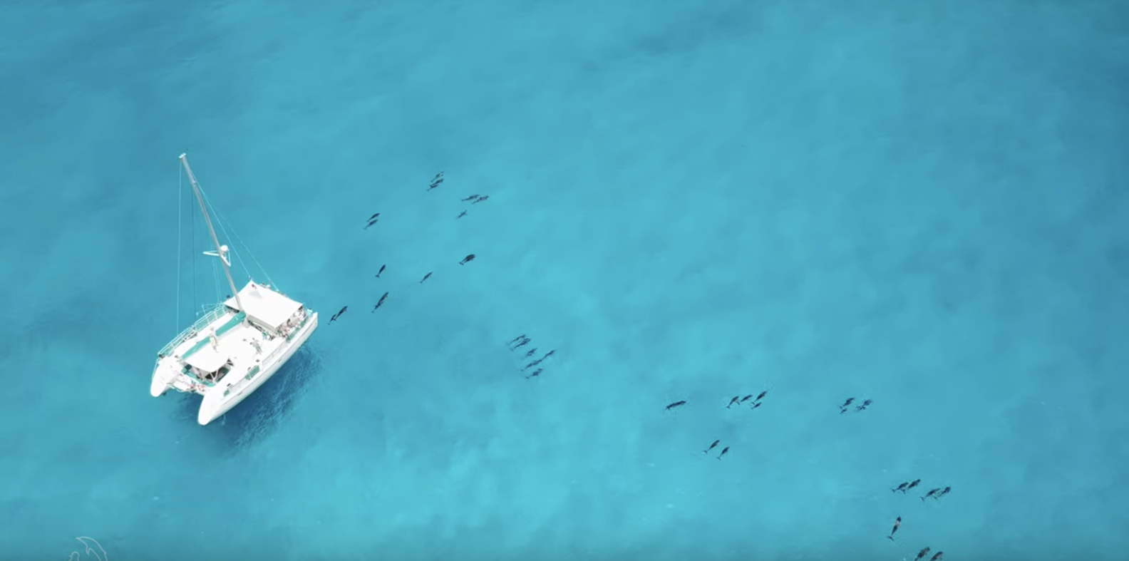 Screen Shot 2022-08-10 at 7.21.08 PM.png