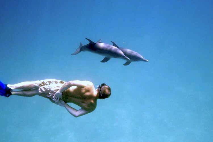 mark_and_dolphins.jpg