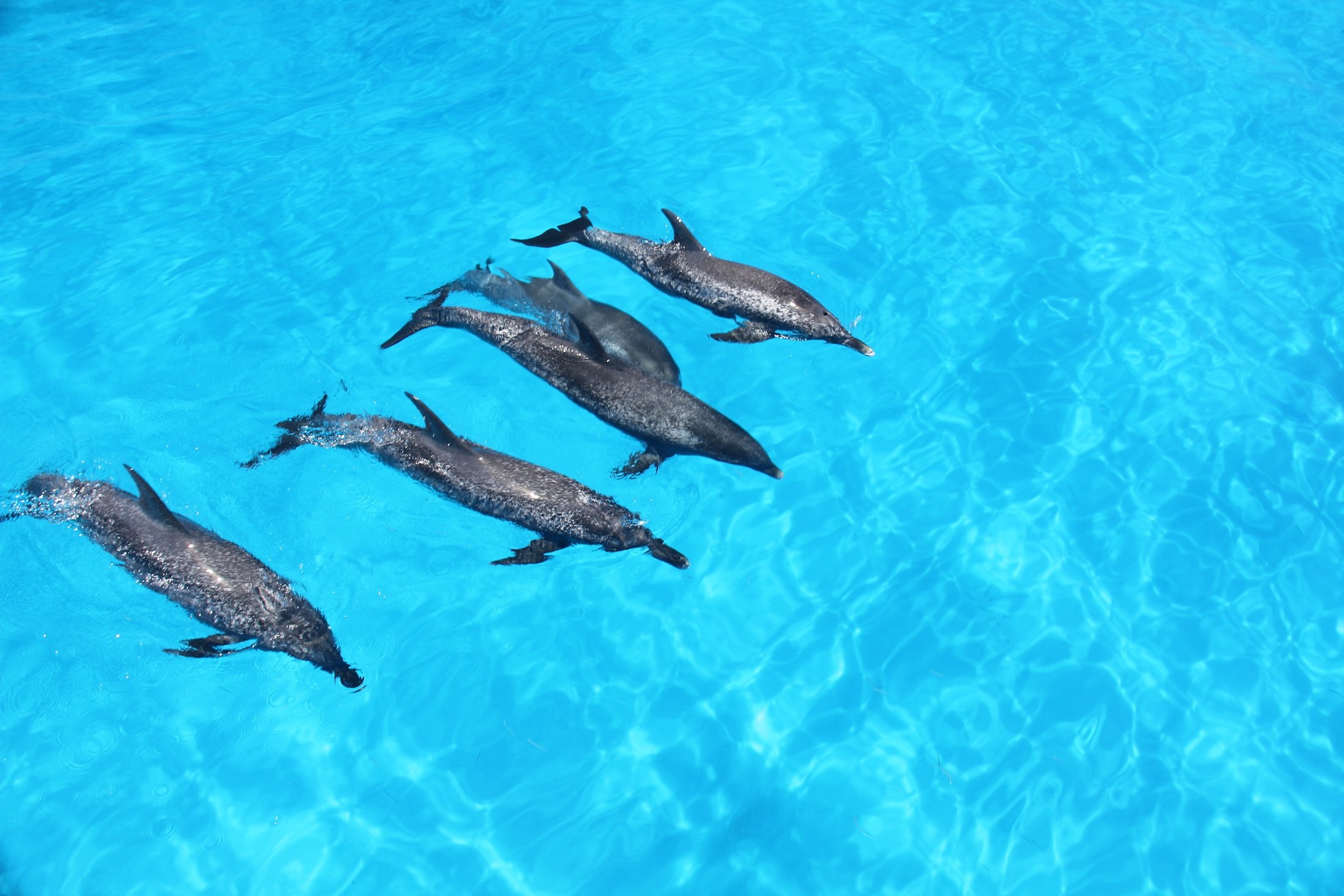 WildQuest_W3_2016 756.jpg