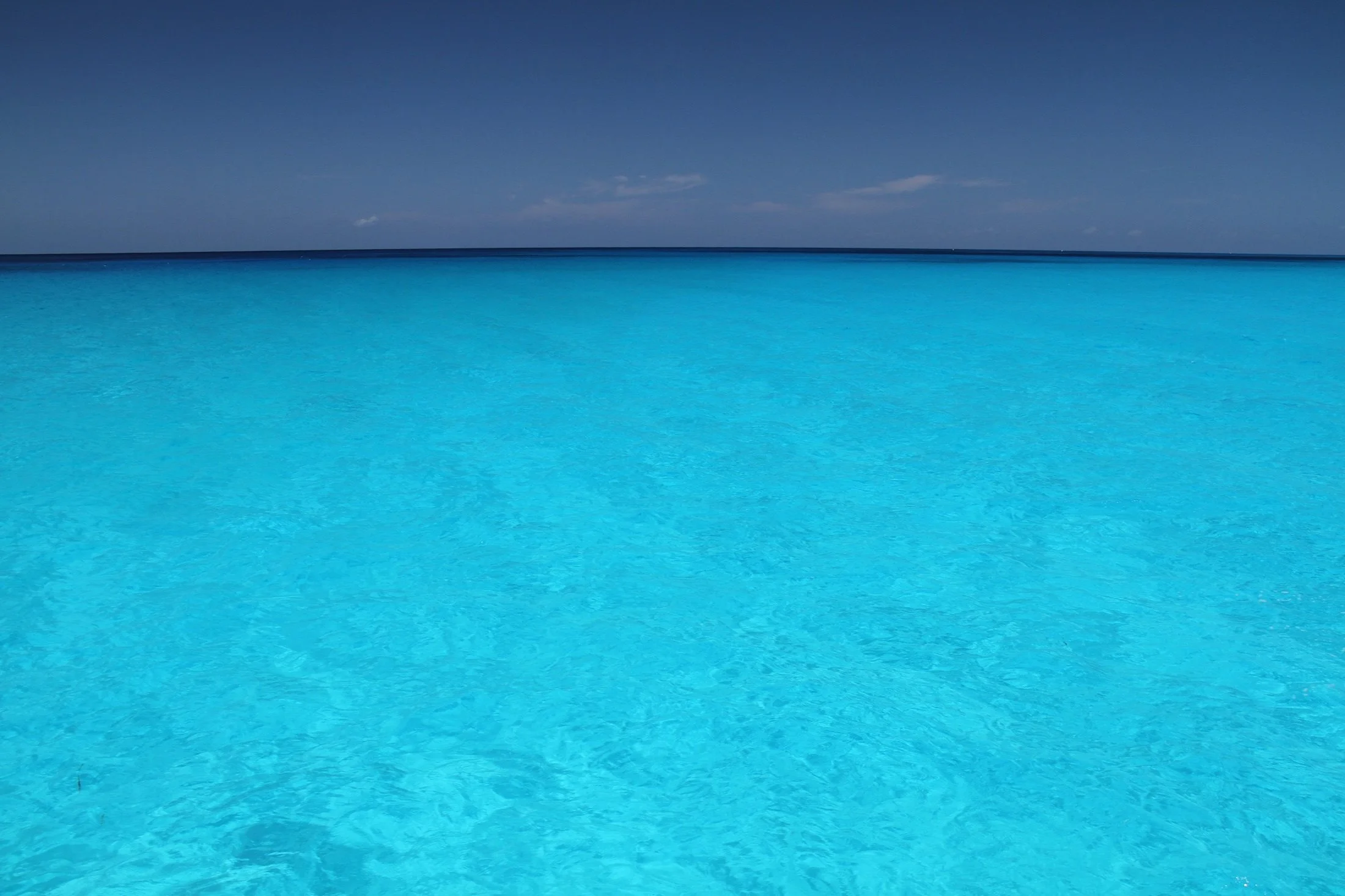 WildQuest_W3_2016 14.jpg