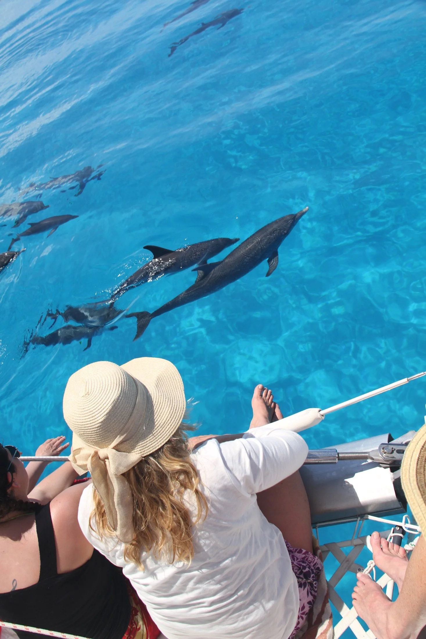 WildQuest_W3_2016 744.jpg