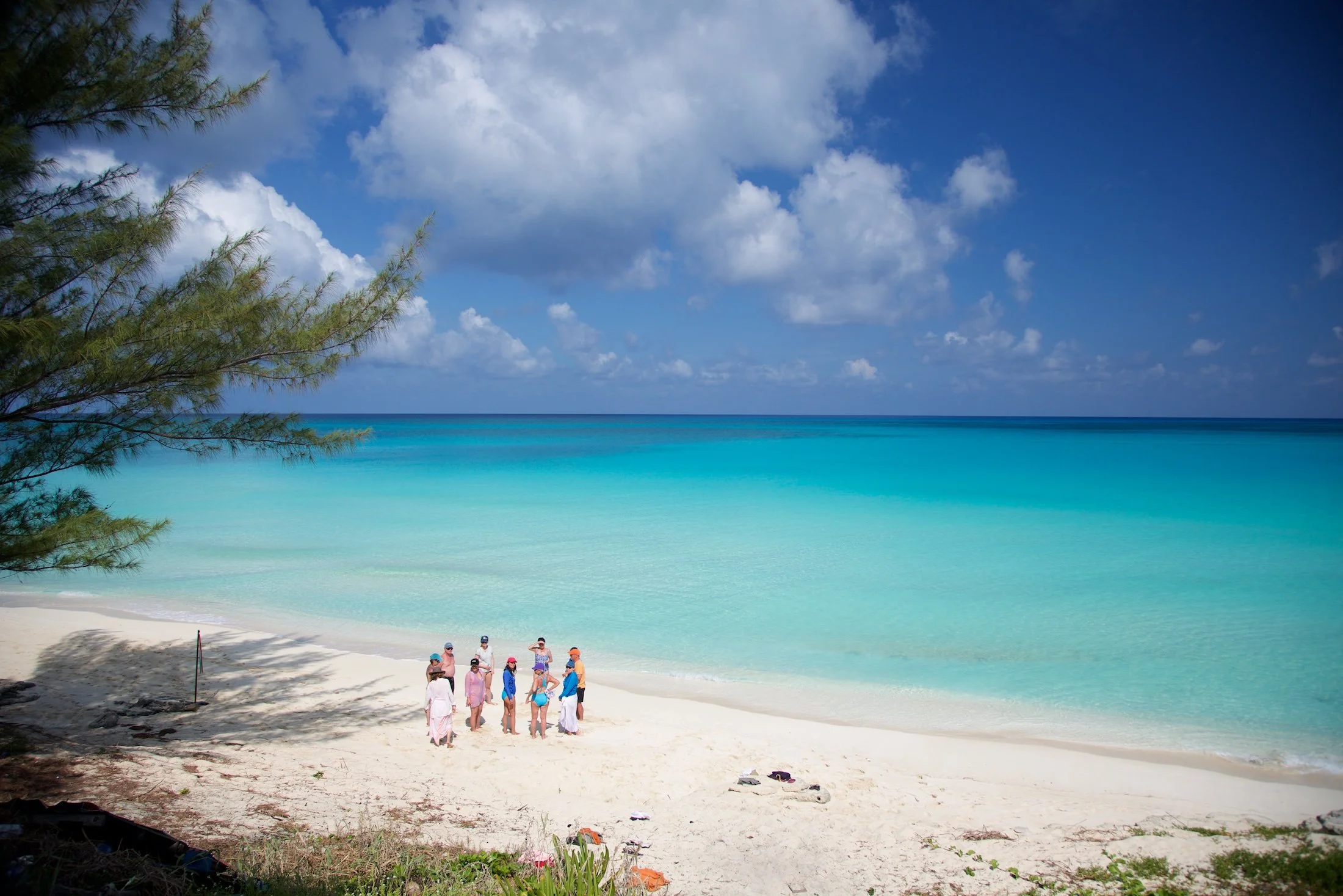 WildQuest_W3_2016 460.jpg