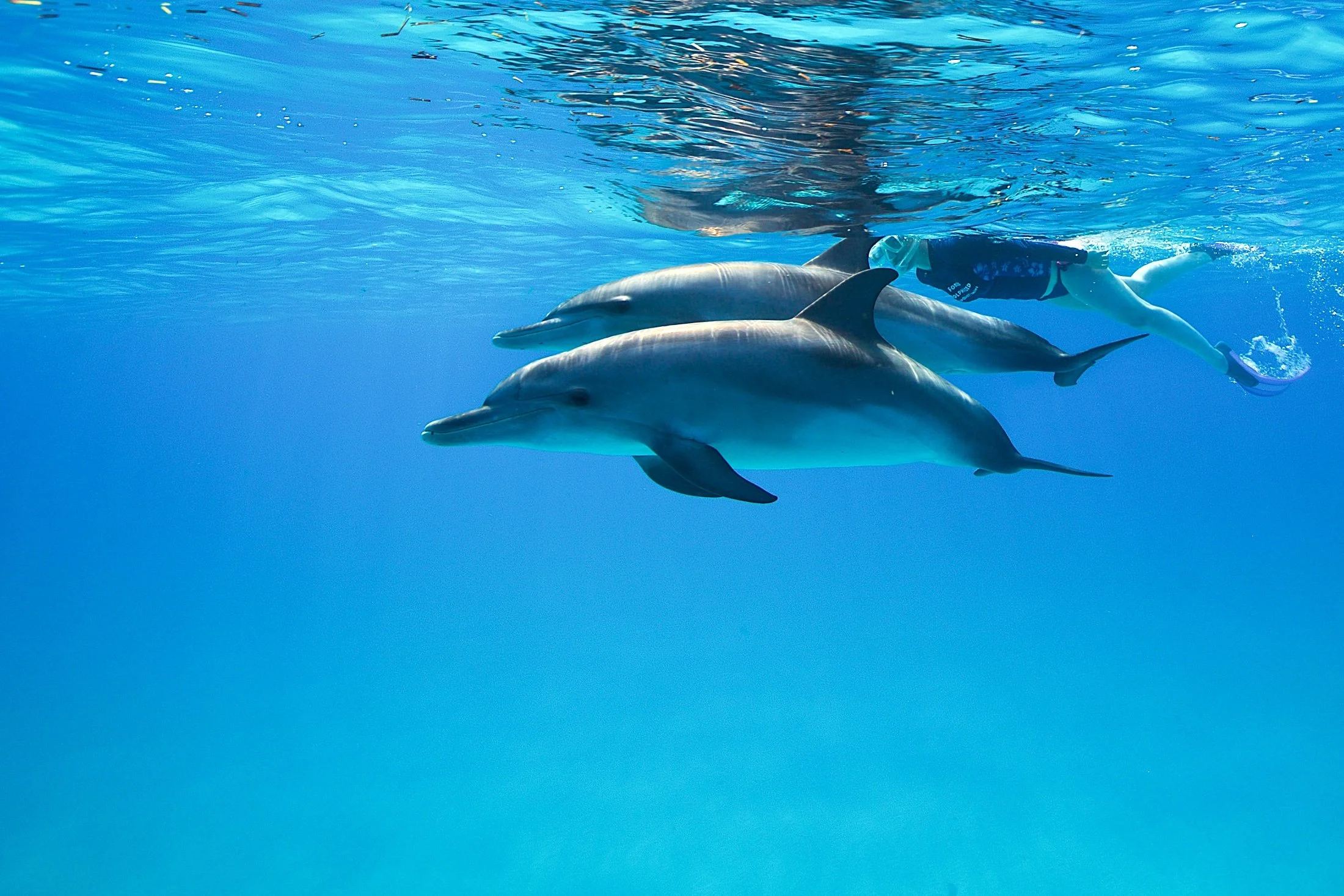 WildQuest_W3_2016 621.jpg