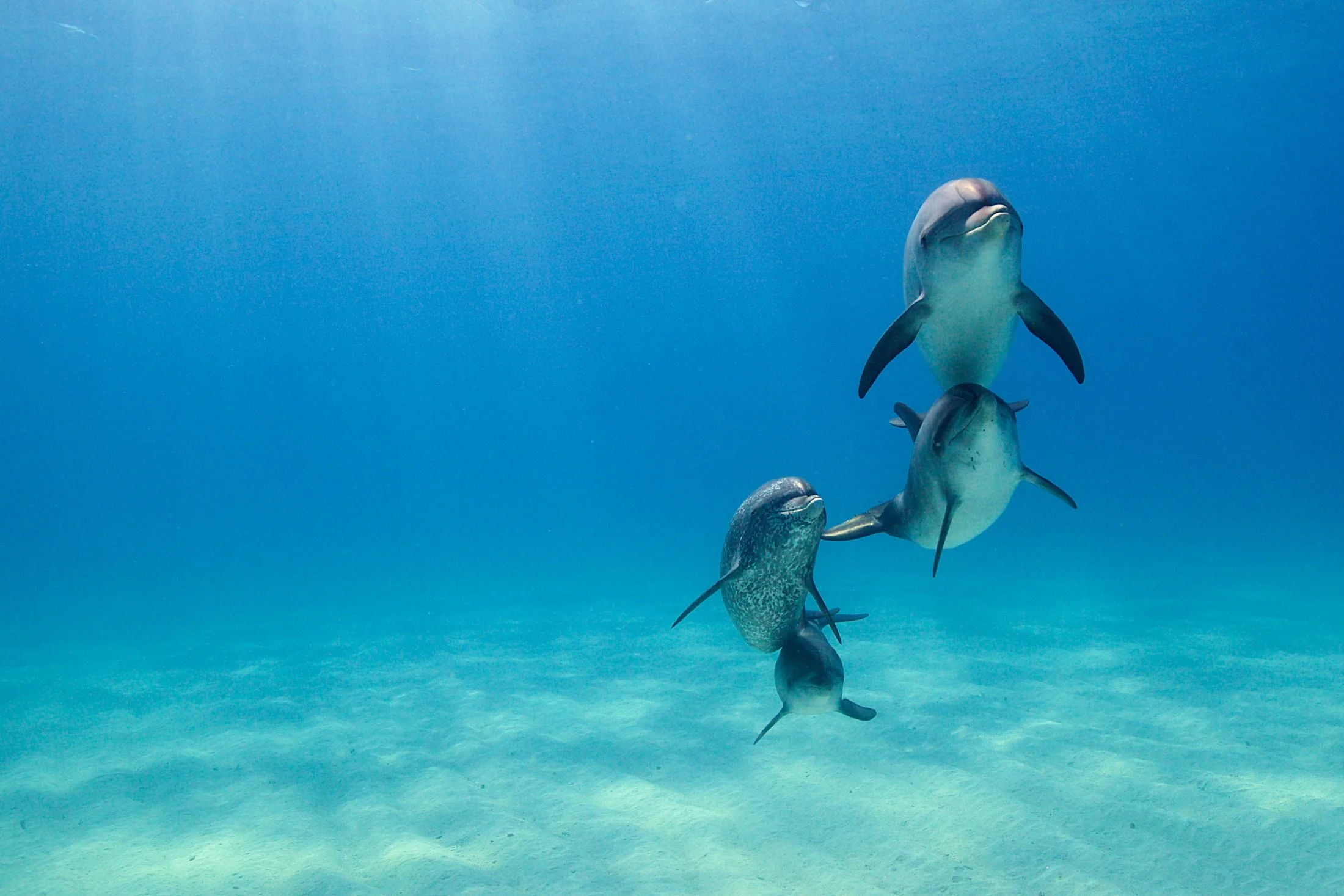 WildQuest_W3_2016 656.jpg