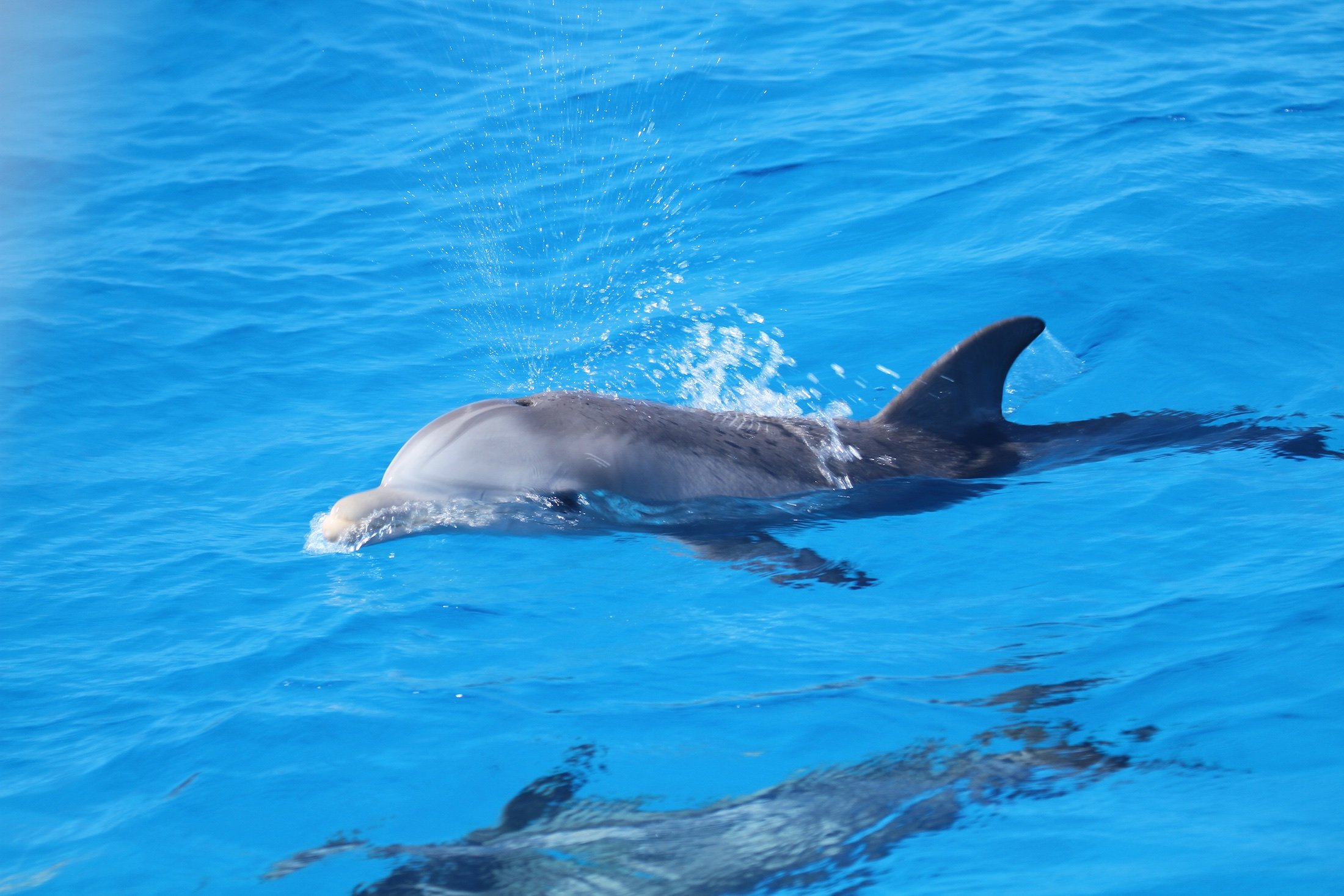 WildQuest_W3_2016 406.jpg