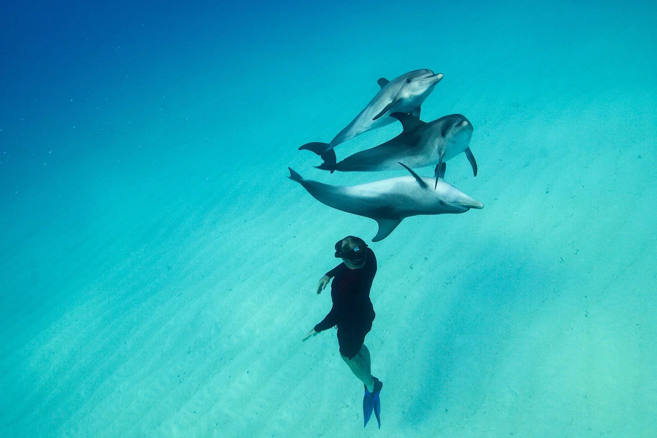 WildQuest_W3_2016 608.jpg