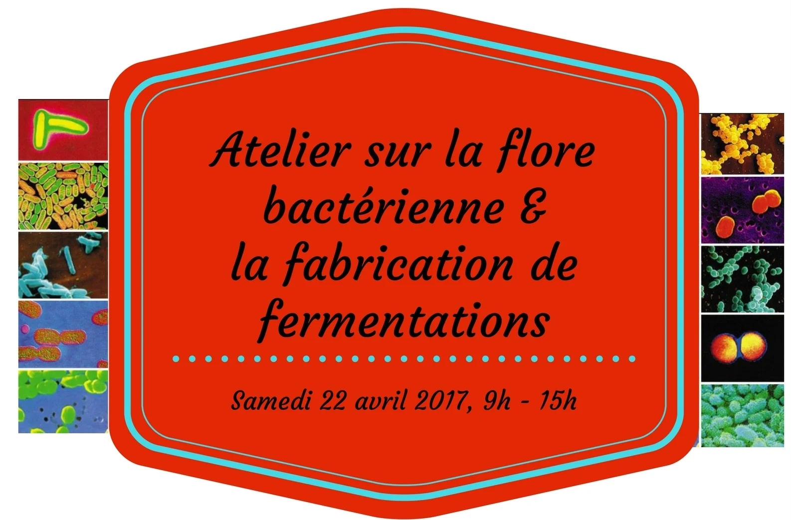 seulement entête - 22 avril 2017 - Atelier sur la flore bacterienne et fabrication de fermentations (1).jpg