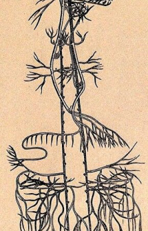 Téléchargement gratuit Images Wn Aqsrk Hvrmop5lpcj1utmq dernière