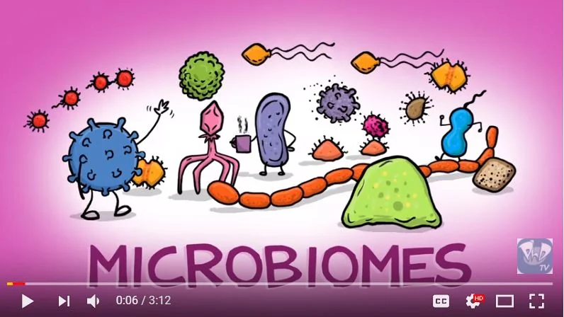 Vidéo du monde invisible du microbiome 