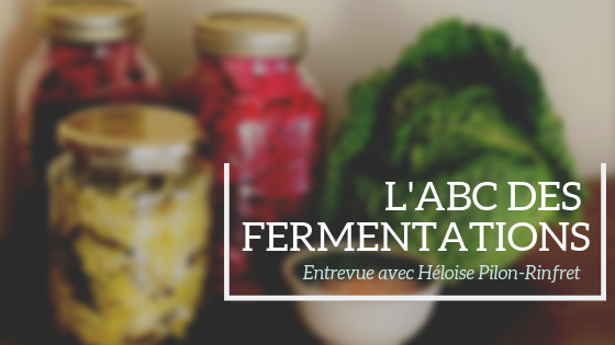 L’ABC des fermentations; une spécialiste nous répond! ( Entrevue pour Sauve ta bouffe)