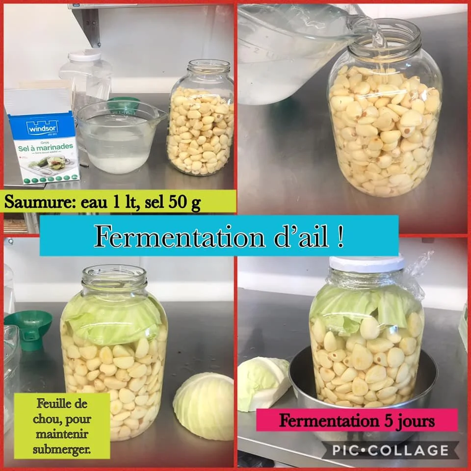 Fermentation d’ail, pour conserver l'ail 1 an au frigo