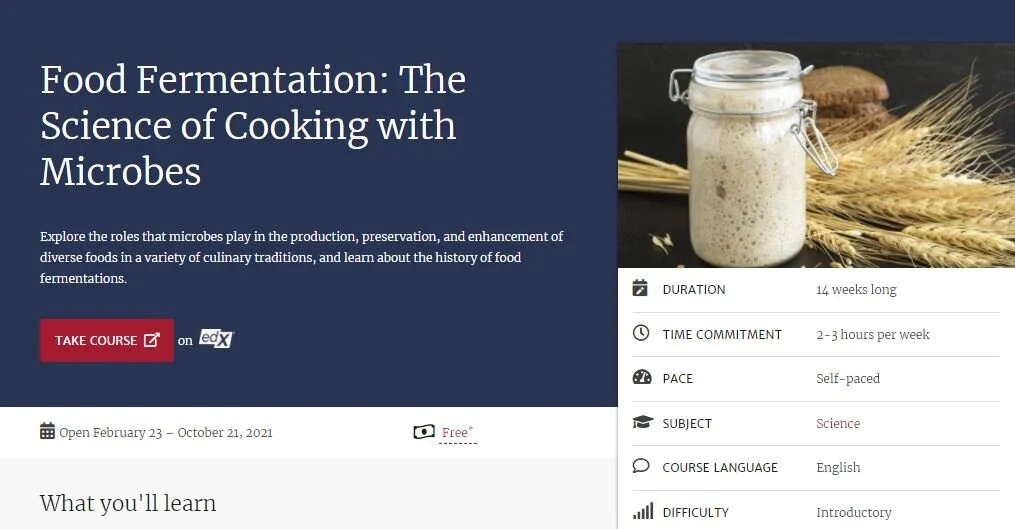 cours de l'université Harvard : food fermentation the science of cooking with microbes 
