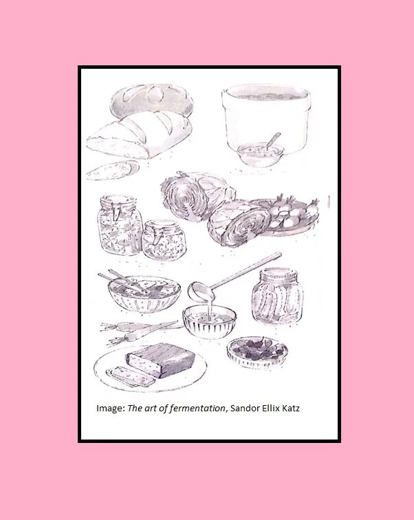 Le garde-manger de la fermentation