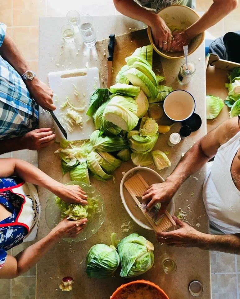 La santé par le microbiote et la fabrication de fermentation 