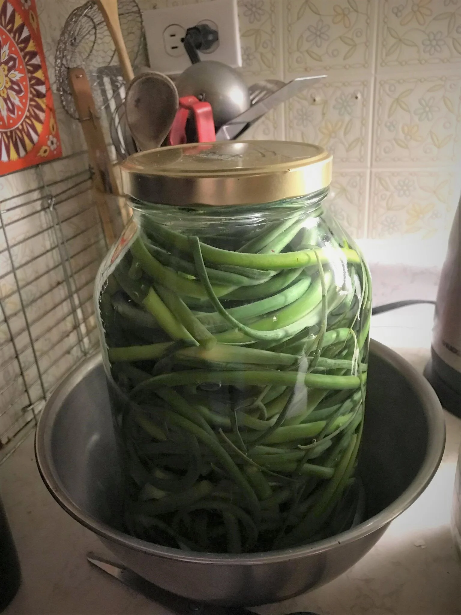 Fleurs d'ail fermentées – pesto de fleurs d’ail fermentées